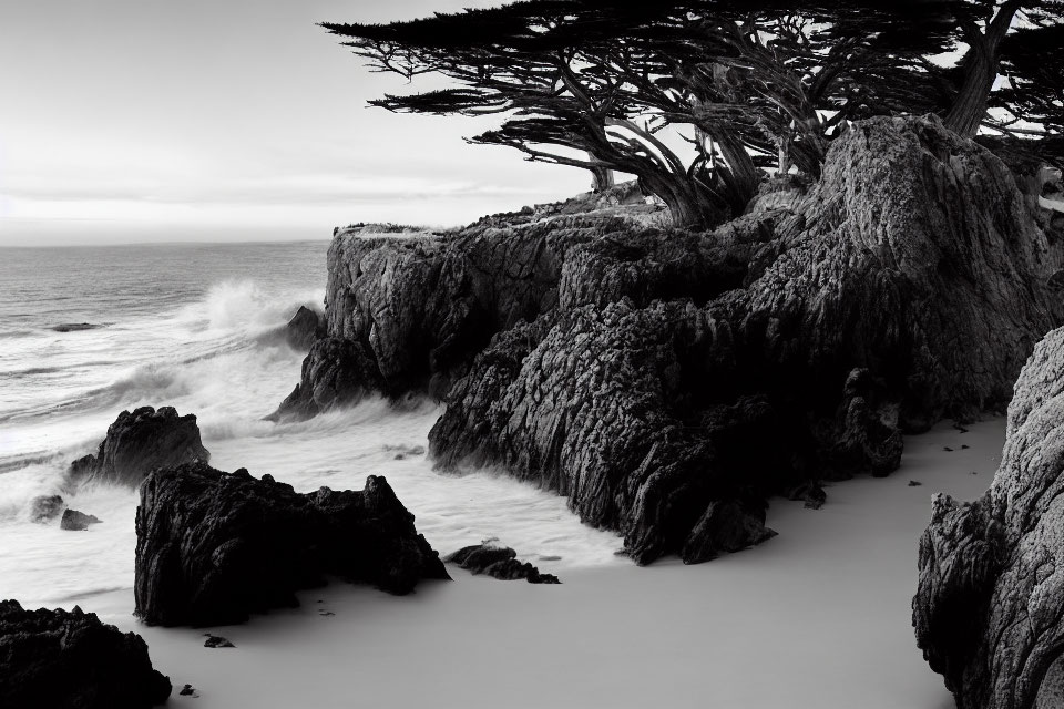 Monochrome seascape with crashing waves and windswept tree on rugged cliffs