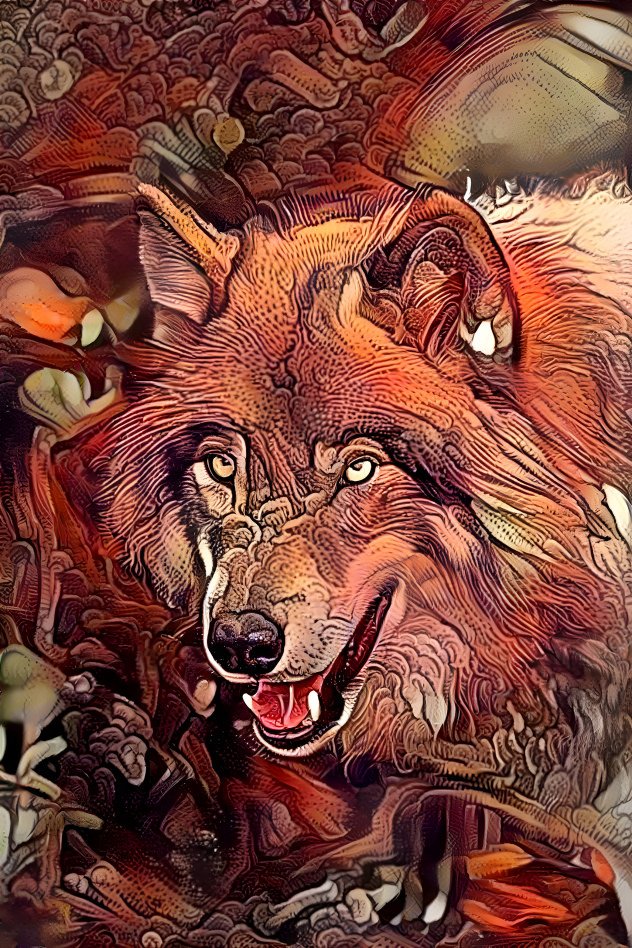 Wolf