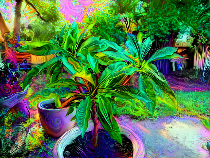 Psychedelic Garden