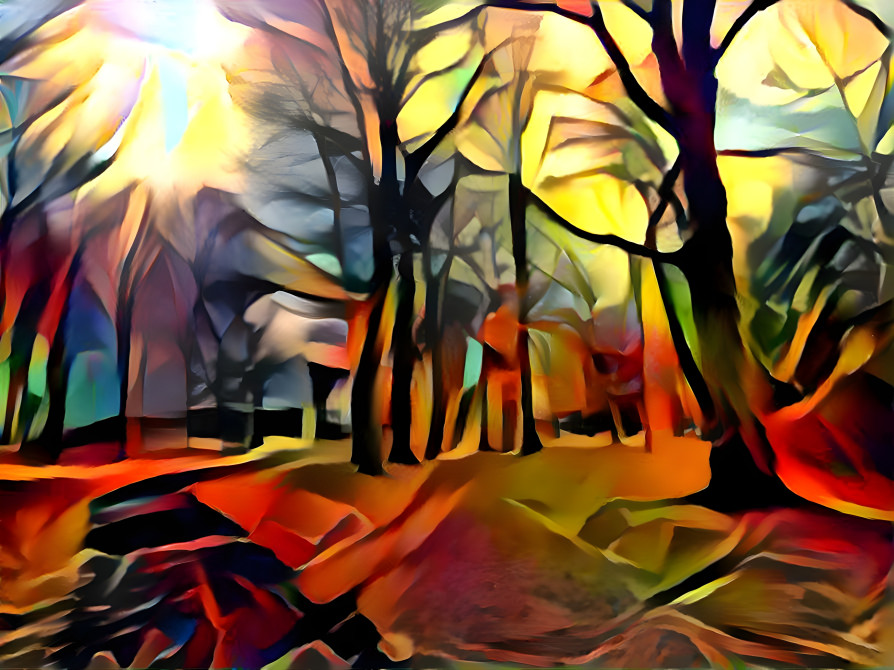 sunset in forest