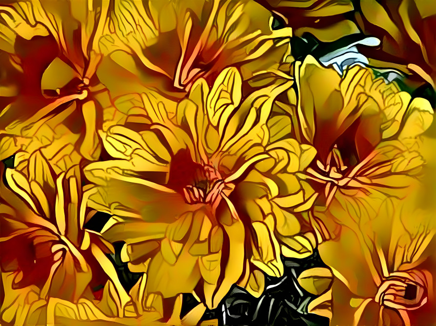 Yellow orange flowers