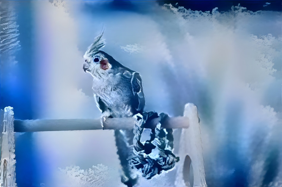 Ice Bird