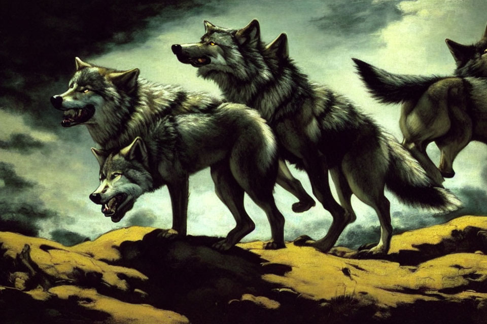 Four Wolves Howling and Snarling on Rocky Outcrop