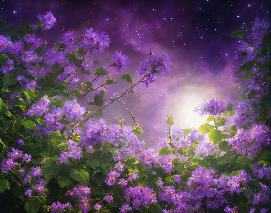 Vibrant purple flowers in cosmic garden under starry night sky