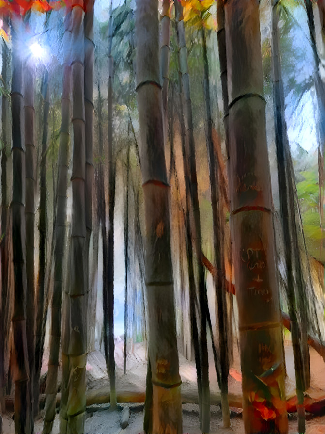 Bamboo Forest