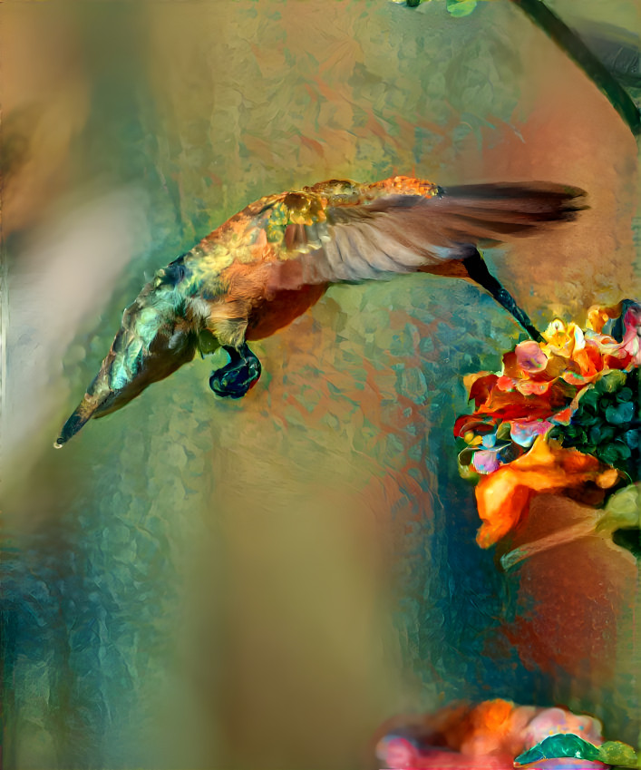 Hummingbird