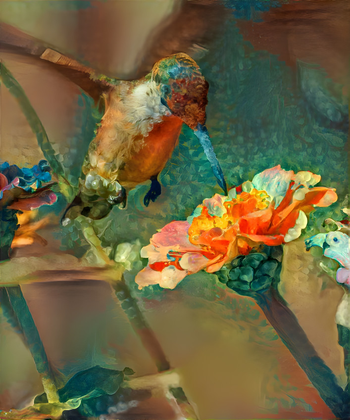 Hummingbird 2