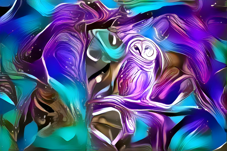 Owl Dream