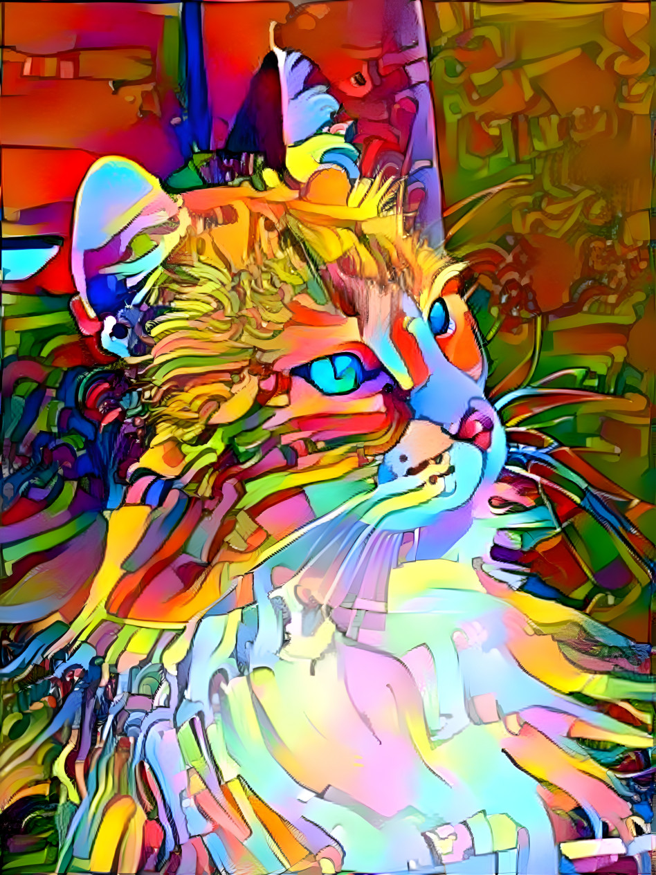 Rainbow Gaze