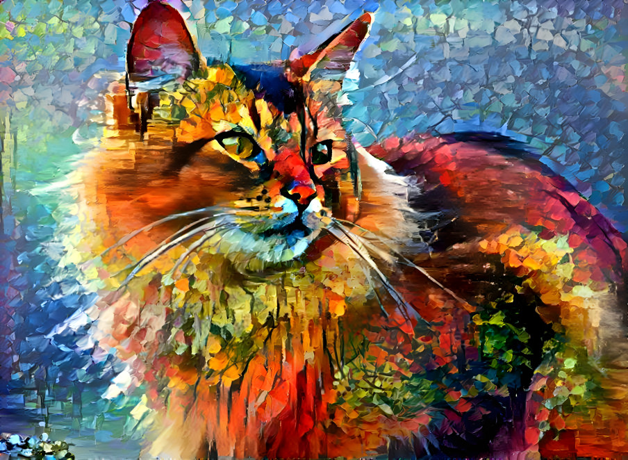 Rainbow Cat