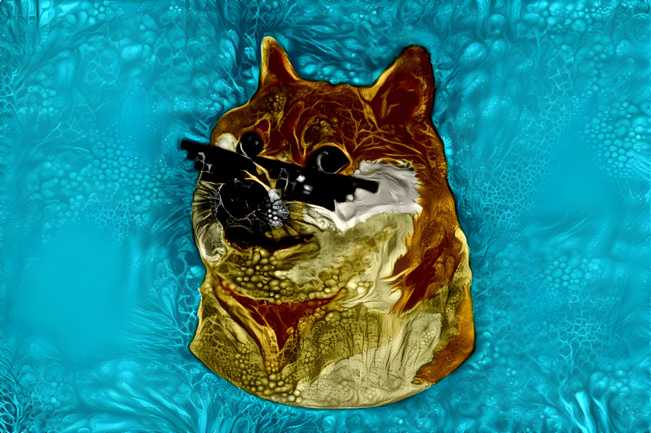 trippy doge