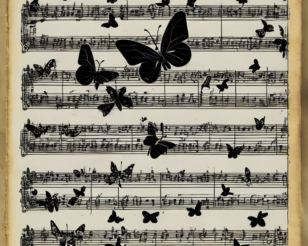 Vintage Sheet Music Featuring Black Butterflies and Small Birds on Yellowed Background