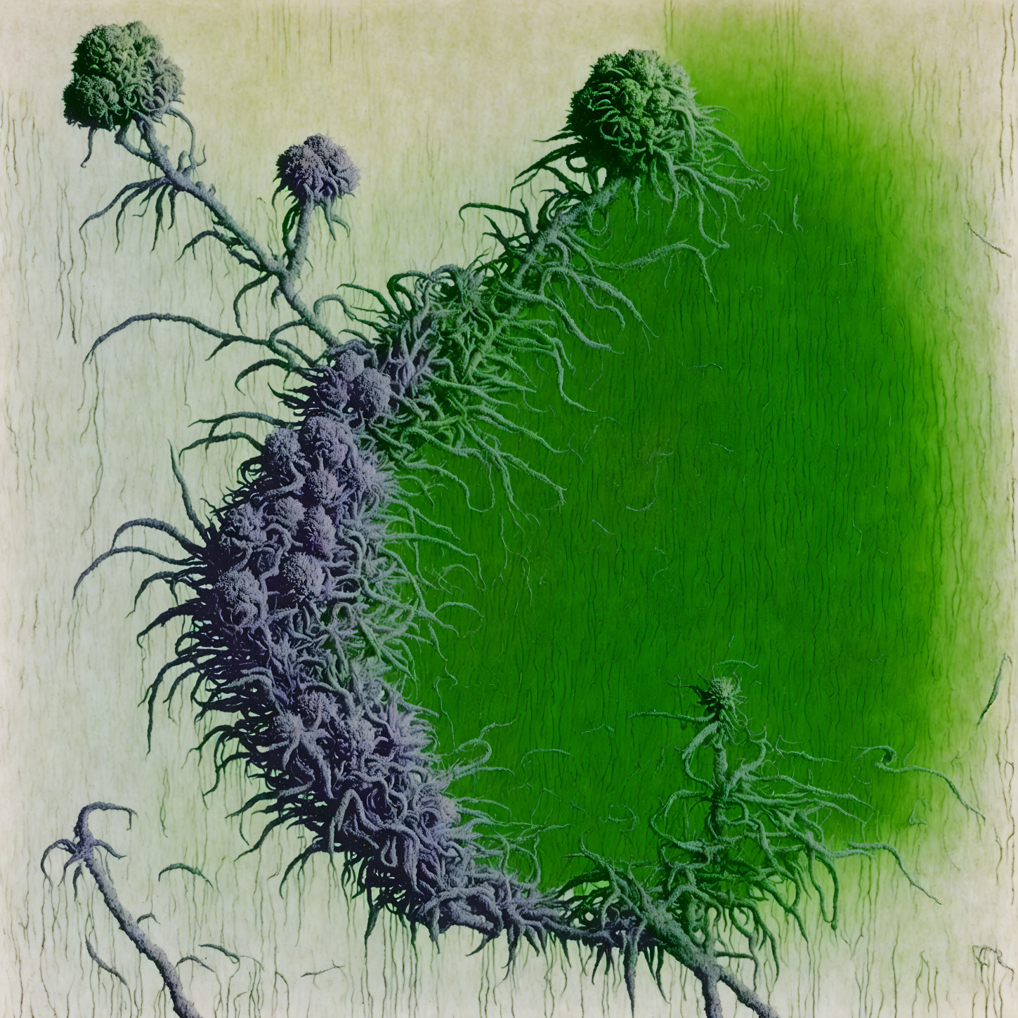 Textured thistle-like forms on yellow to green gradient background.