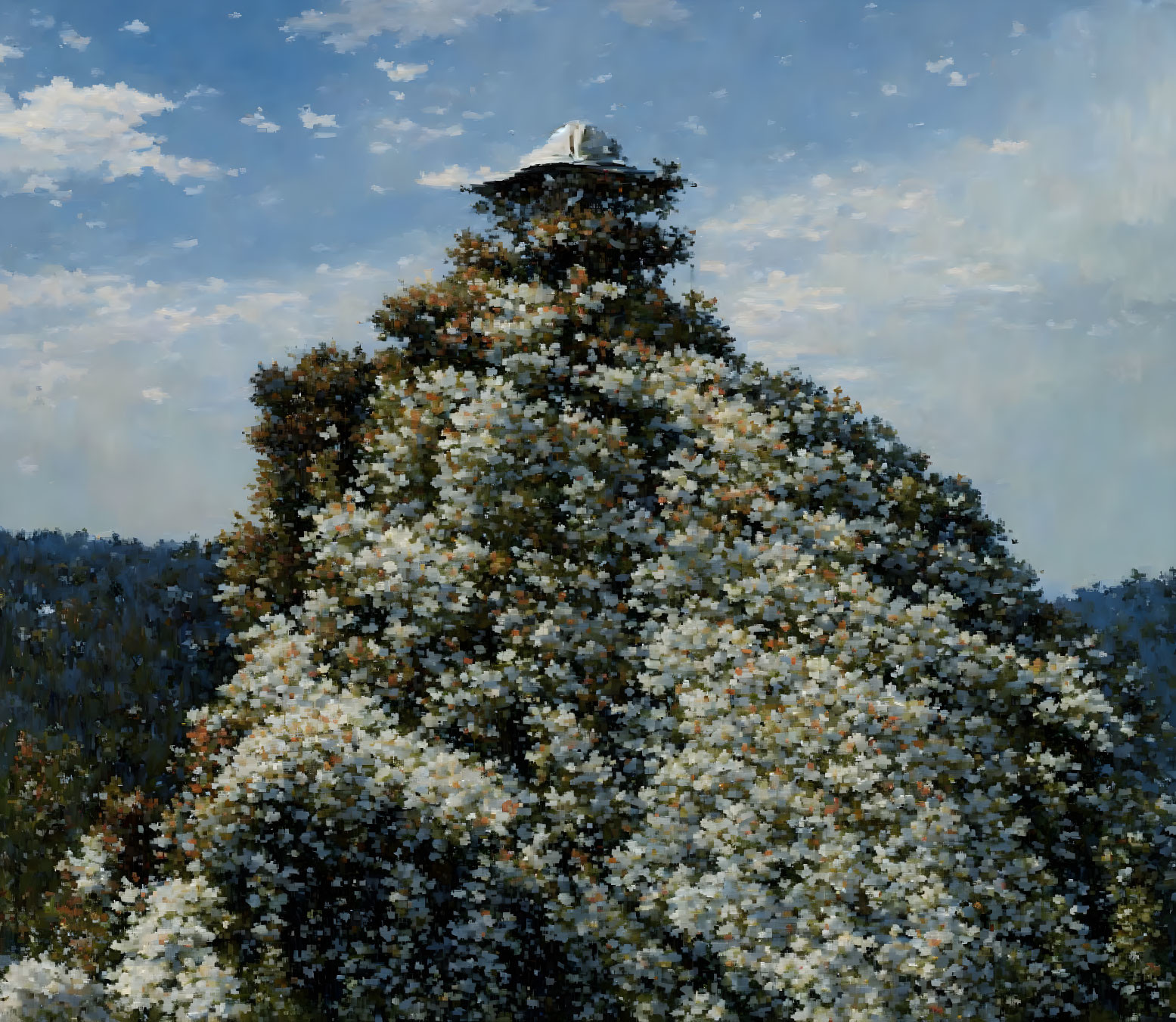 Large Tree with White Blossoms and Small Building Against Blue Sky