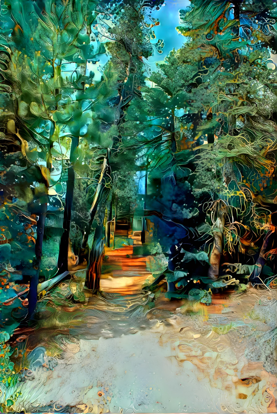 Forest Path