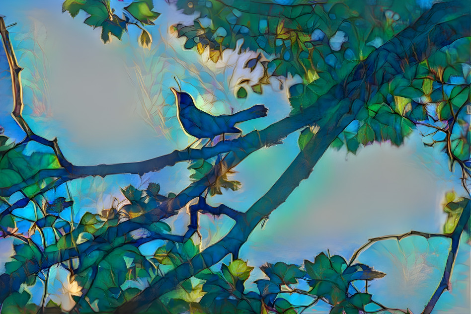 Bird Song