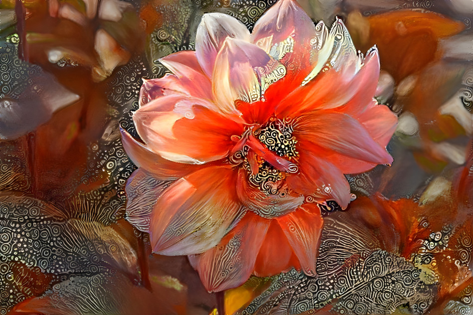 Dahlia 2 