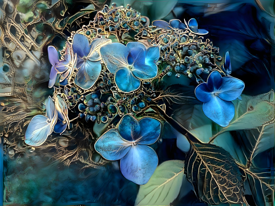 Hydrangea