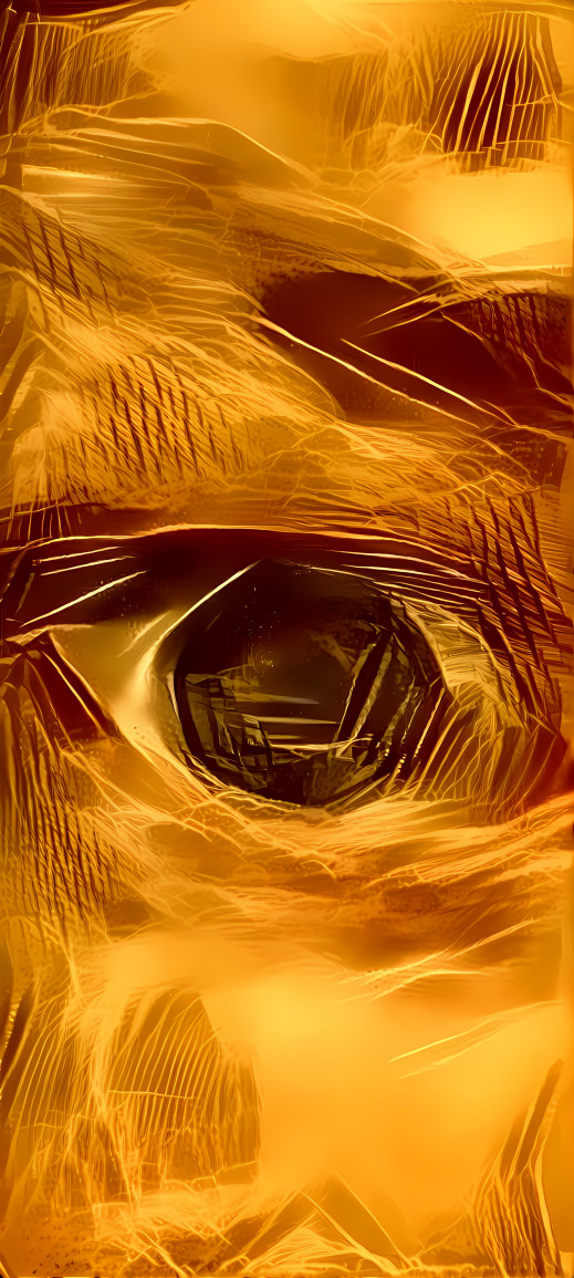 Eye