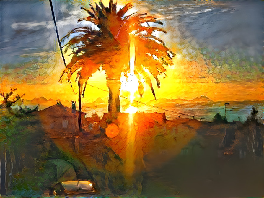 Homage to our venerable but fallen Palm Tree.