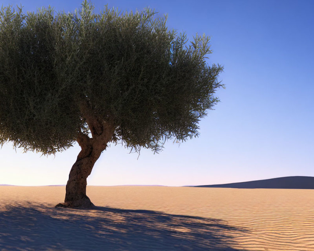 Solitary green tree in desert with sand dunes and blue sky