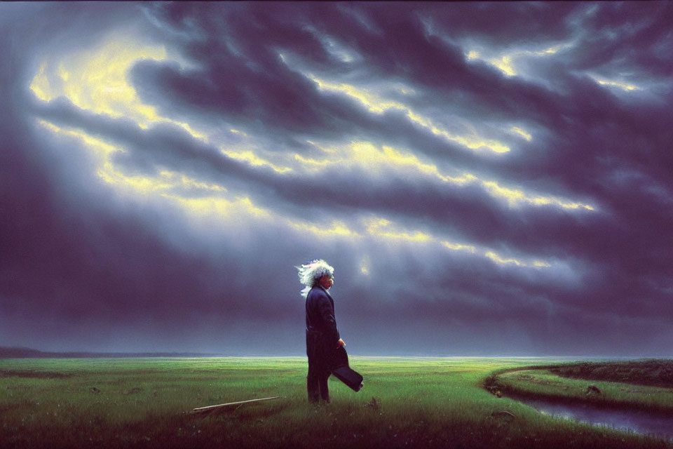 Person walking in lush field under dramatic sky with golden light and billowing clouds