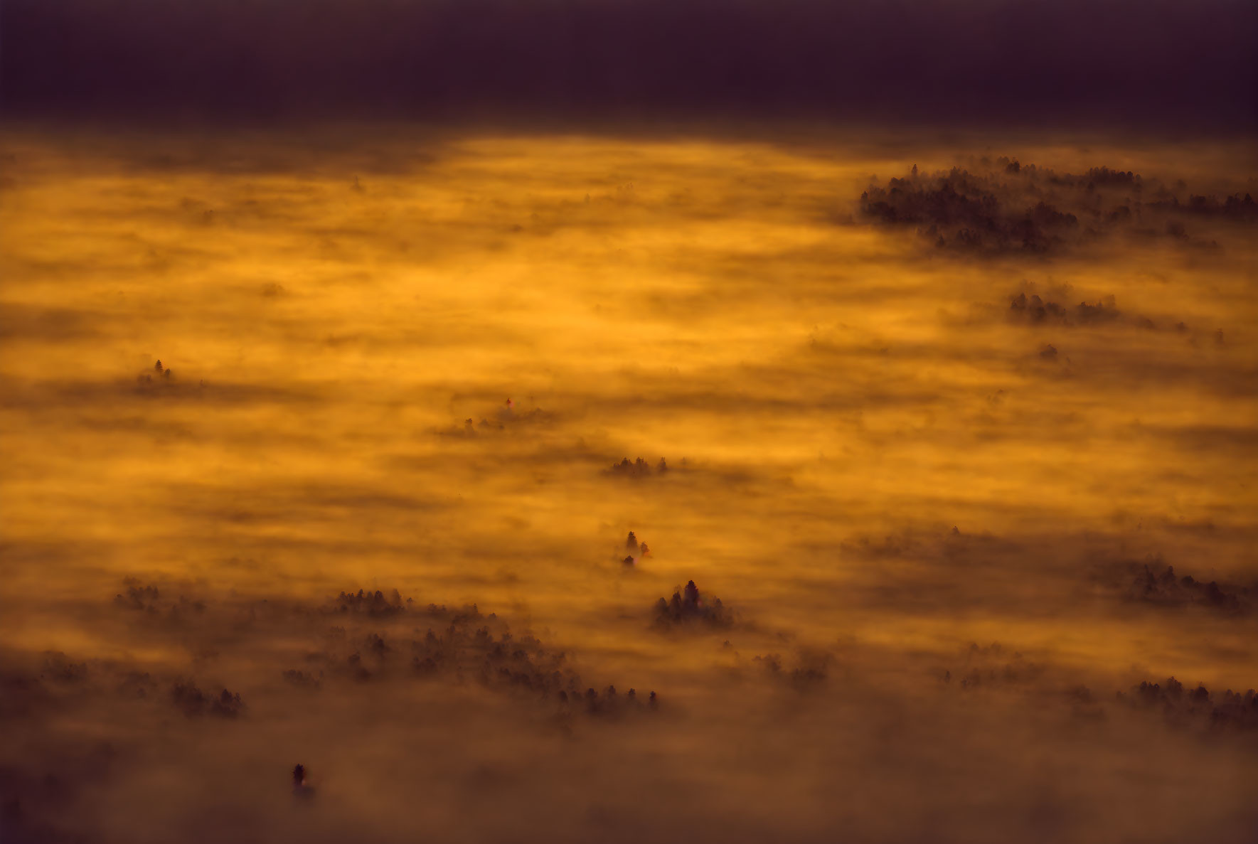 Surreal landscape with orange and yellow mist and tree silhouettes