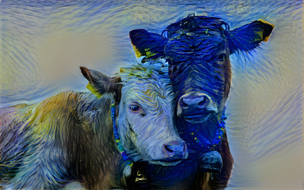 Cows2