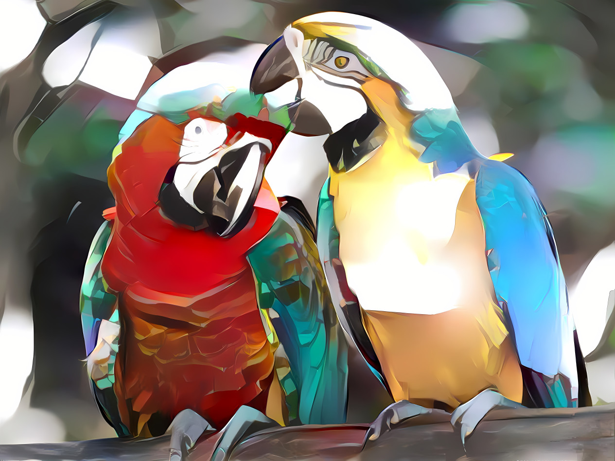 Parrots