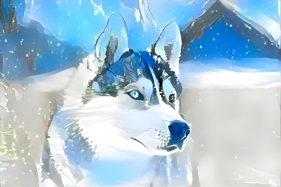 Winter Husky