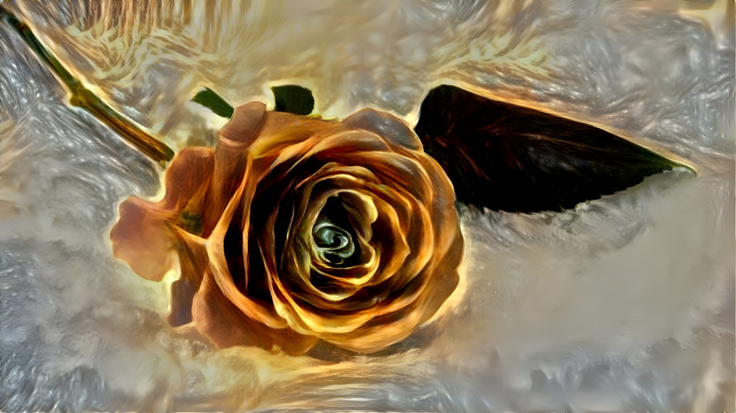 Gold Rose