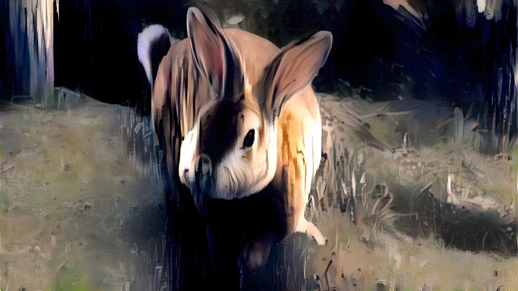 Painted Rabbit