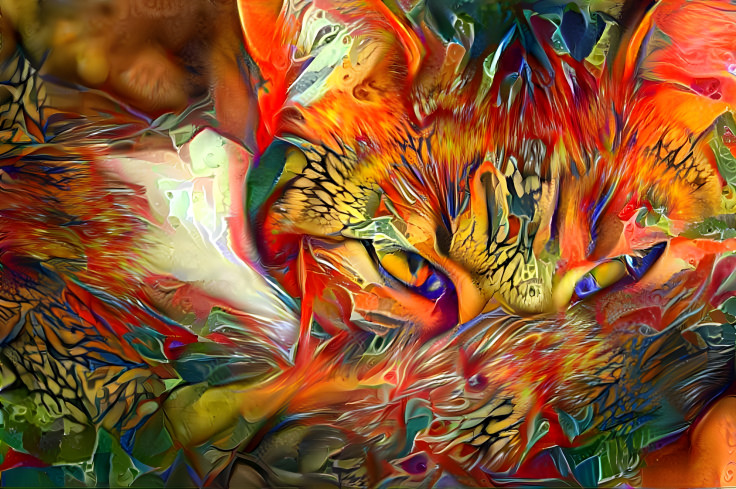 psychedelicat