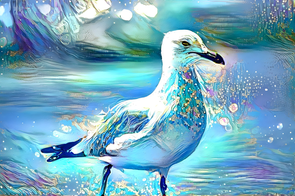 Seagull