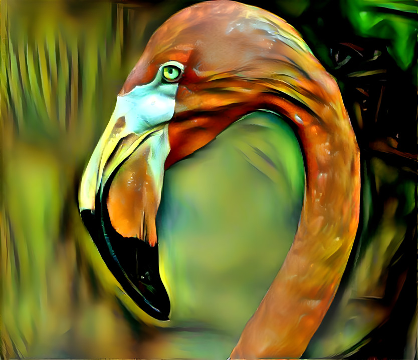 flamingo 