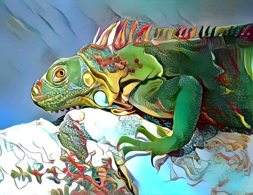 iguana