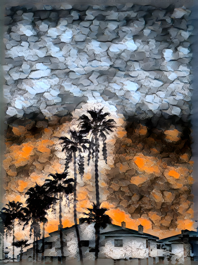 Palm Tree