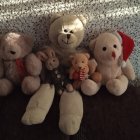 Five plush teddy bears in various fur colors on golden backdrop