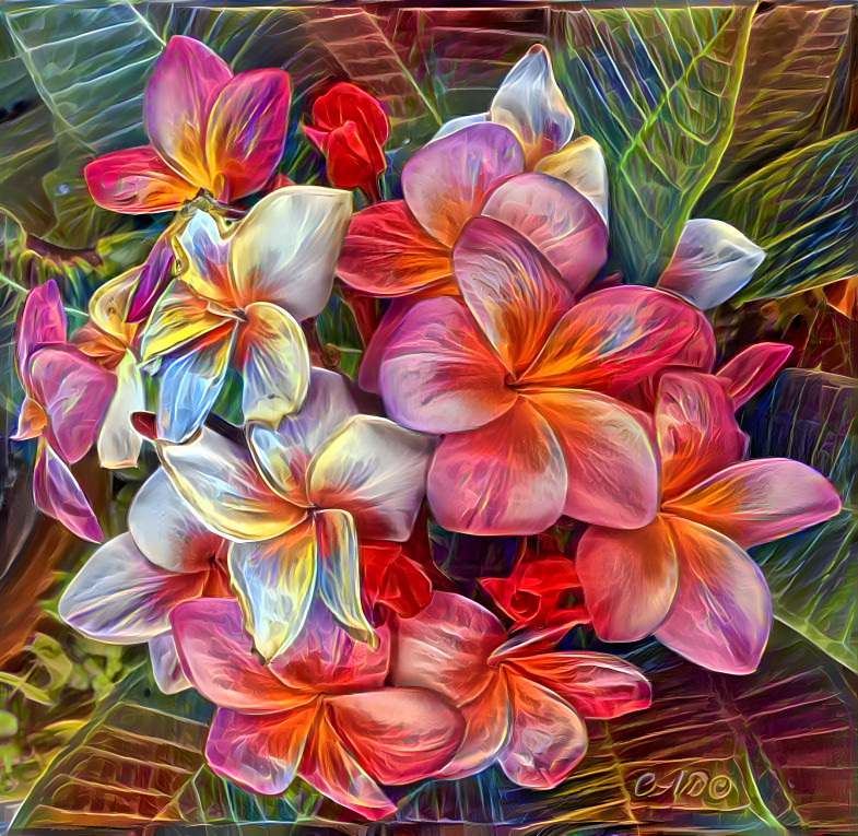 Deep Dream Plumerias