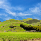 Scenic rural landscape with green hills, crops, farm buildings, and trees