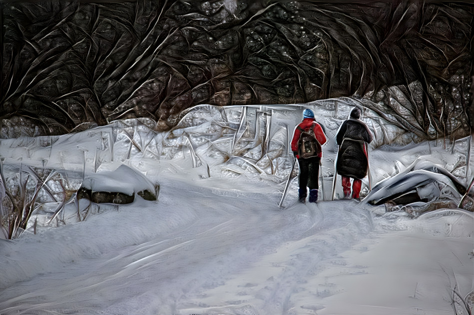 Winter in Iceland.