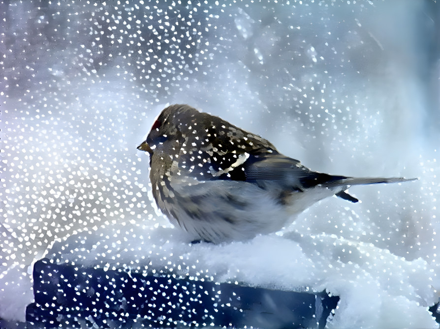 Winter in Iceland.