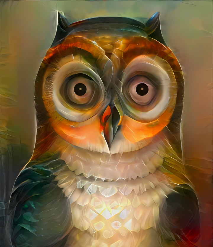 Owl.