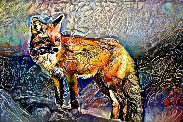 Fox.