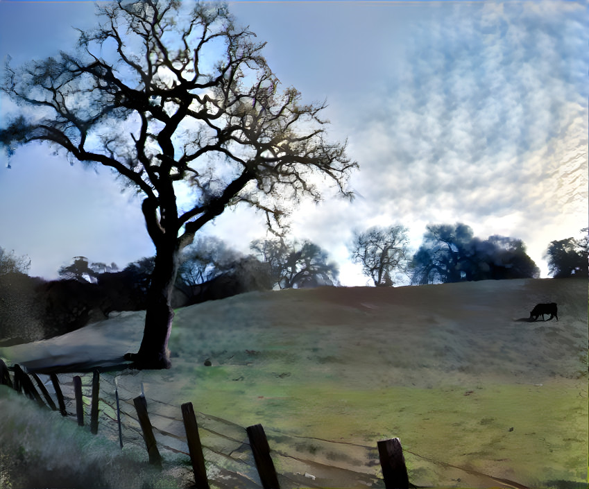 Oak in the Cow Pasture with Buttermilk Sky