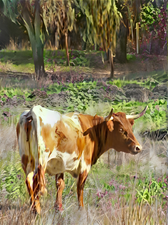 Cow in Pasture