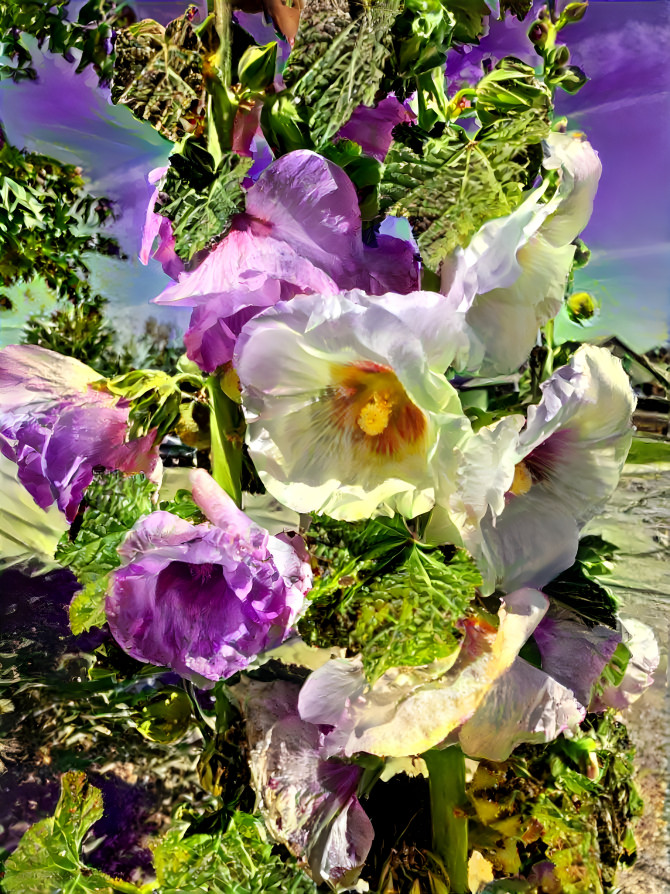 Hollyhocks with a Touch of Iris