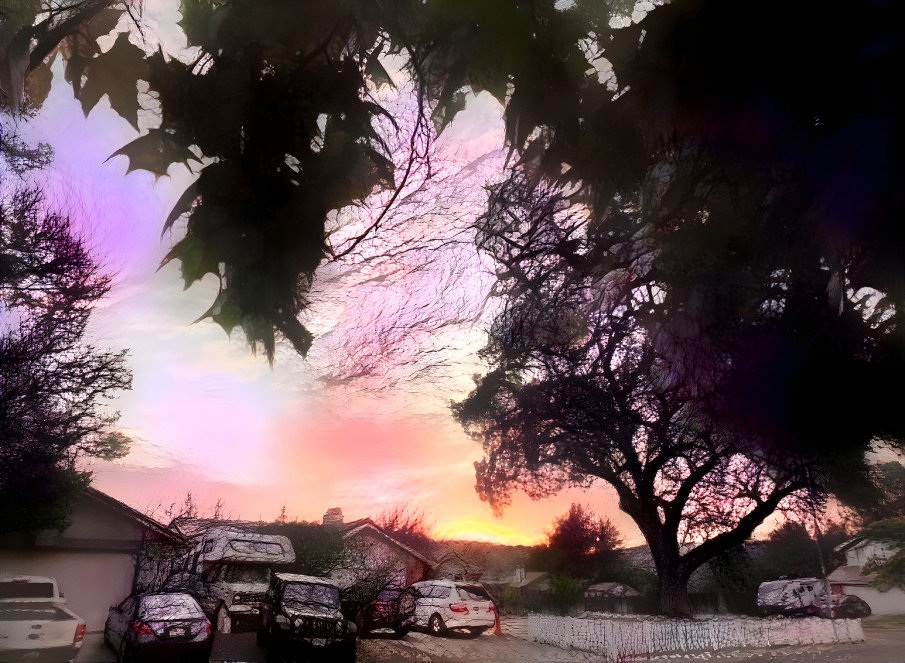 Trees Fight Over Sky Space at Sunset