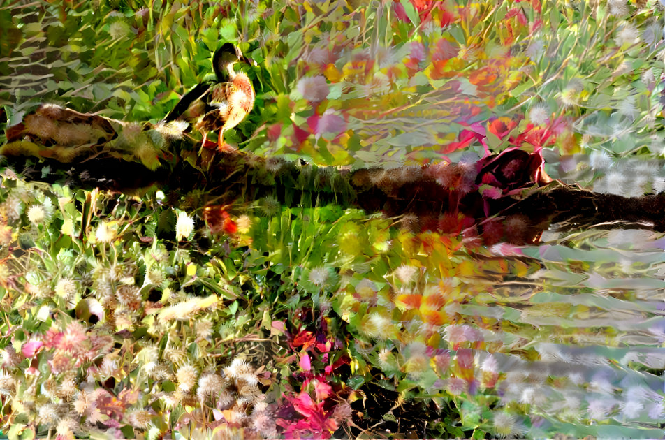 Duck on a Log in a Lake