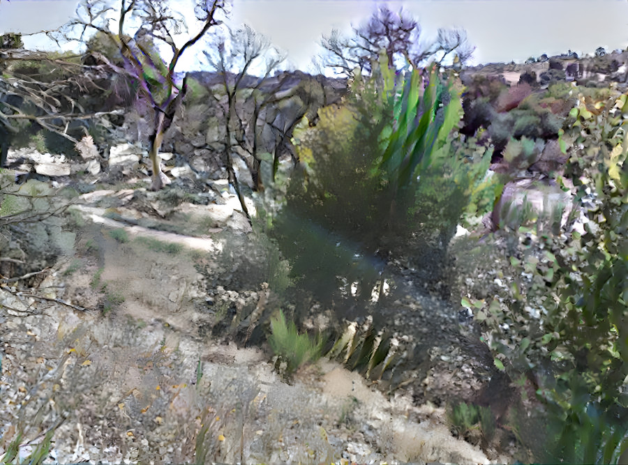 Burned Trees Near Trail in Park